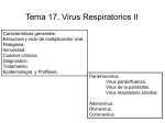 Virus respiratorios II