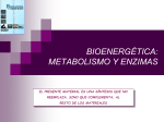 enzimas - Biomilenio