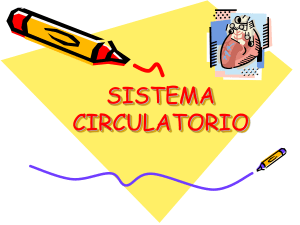 SISTEMA CIRCULATORIO