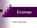Enzimas y Cinética enzimática
