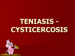Teniasis - Cysticercosis