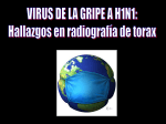 virus gripe a(h1n1)