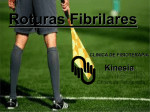 Roturas Fibrilares