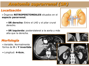 Patología suprarrenal