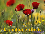 endometriosis - La boutique del powerpoint