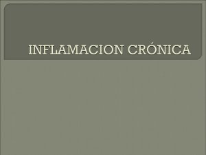 INFLAMACION CRÓNICA - medicina