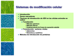 Diapositiva 1 - Interbiotecnologia
