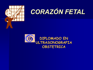 Clase 1.- Corazï¿½n Fetal