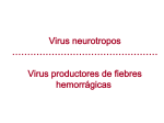 Virus Neurotropos