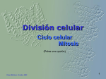 División celular: Mitosis