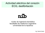 ECG_2010 - Nucleo de Ingenieria Biomedica