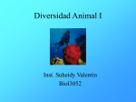 Lab. 8: Diversidad animal 1