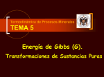 Termodinámica de Procesos Minerales TEMA 3