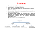 Enzimas-2 - (DICIVA) UGTO