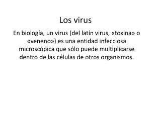 Los virus - biologiacervantes