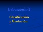 Clasificacion y Evolucion
