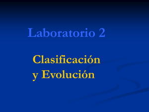 Clasificacion y Evolucion