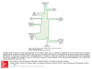 Slide 1 - Access Medicina