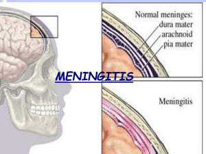 meningitis dr alfredo minervini marìn
