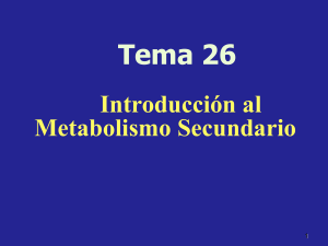Tema 26. Metabolismo secundario. Archivo