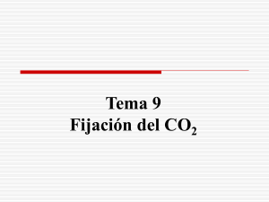 Tema 9. Asimilación de CO2 Archivo