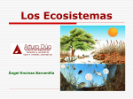 Ecosistema - IHMC Public Cmaps