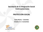 ppt_proteccion_social
