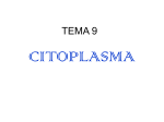 citoplasma - WordPress.com