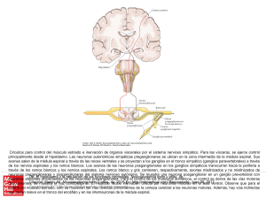 Slide 1 - Access Medicina