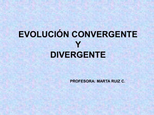 Evolución convergente
