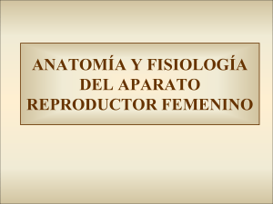 ANATOMÍA Y FISIOLOGÍA DEL APARATO REPRODUCTOR