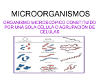 microorganismo - Campus Virtual ORT