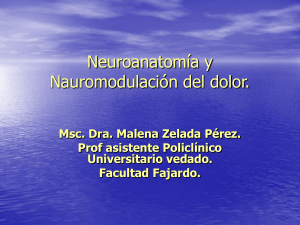 Neuroanatomía y Neuromodulación del dolor