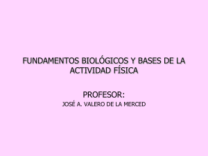 INTRODUCCI&Oacute;N - IES Franc&eacute;s de Aranda