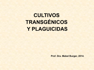 Cultivos Transgénicos y Plaguicidas