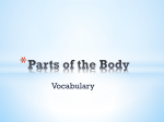 Las partes del cuerpo