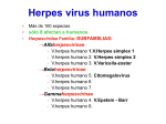 Virus Herpes Simplex y Varicella