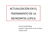Actualización en el tratamiento de la nefropatía lúpica