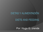 Dietas y alimentacion
