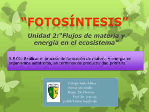 Fotosintesis y factores test 1 - 1ro medio