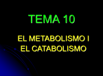 TEMA10 - BioGeoAlarcos