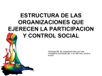 estructura de las instancias de participación y control social