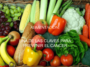 alimentacion