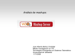 Tes_wso2_mashup_server - Universidad de Valladolid