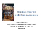 Terapia celular en distrofias musculares