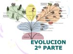 EVOLUCION II - Colegio Santa Sabina