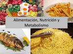 alimentacion-y-metabolismo