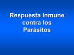 0920_Bases_de_la_Respuesta_Inmune_Antiparasitaria