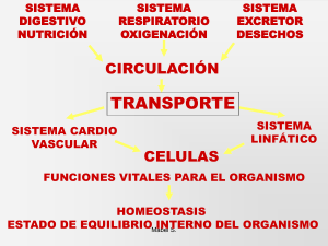 Diapositiva 1 - Educar Chile
