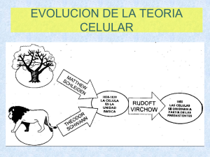 Capítulo 1.4 Evolucion de la teoria celular